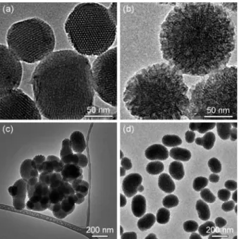 Fig. 2 Dispersibility of mesoporous silica nanoparticles in aqueous media. Size distributions of MSN and F127-OMSN in water and PBS