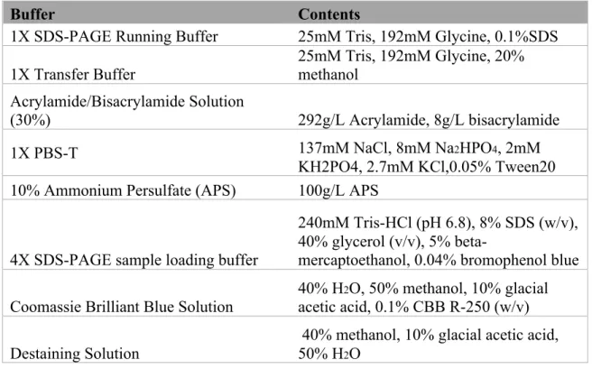 Table 5: Buffers used for SDS-PAGE, Western blot analysis and Coomassie staining  and their contents