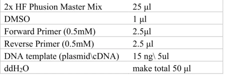 Table 9: Contents of a PCR reaction using  2x HF Phusion Master Mix. 