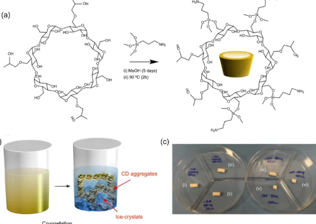 Fig. 2. The synthesis pathway of the NH 2 -ˇ-CD (a), and a cartoon illustration of the cryogelation of NH 2 -ˇ-CD aggregates with PEG-DGE (b)