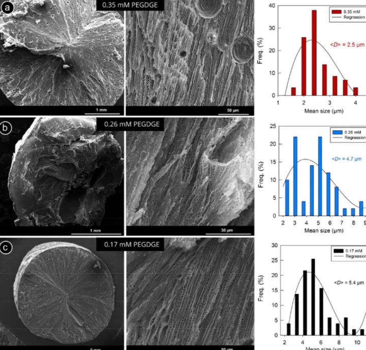 Fig. 4. SEM images of the poly-CD cryogels synthesized at various compositions of precursors show aligned porous structures