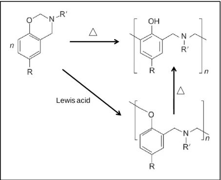 Figure 4. Polymerization of benzoxazine monomers by thermally activated ring-opening  reactions