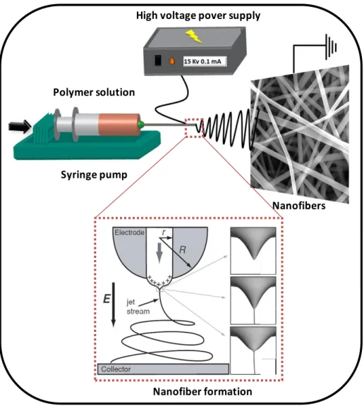 Figure 6. Schematic representations of electrospinning set-up and nanofiber formation