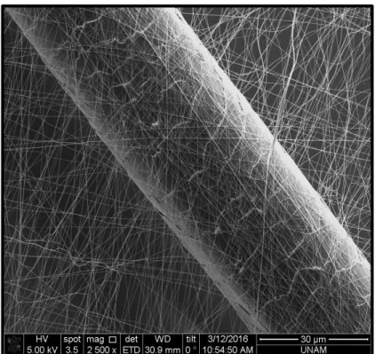 Figure 8. SEM images of Nylon-6,6 nanofibers on the single human hair. 