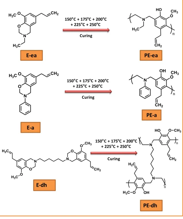 Figure  13.  Polymerization  of  eugenol-based  bio-benzoxazines  with  thermally  initiated  ring-openning reaction