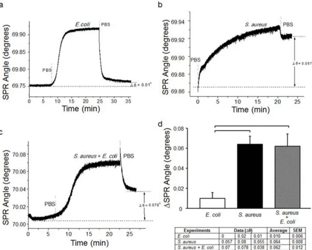 Figure 7 | Specificity, selectivity and multiplexing of the SPR platform. SPR chips were decorated with anti-LTA antibodies, which are only specific to S.