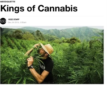 Figure 4 The web page of Kings of Cannabis on vice.com . The documentary covers a  one of the biggest marijuana trader named Arjan Roskam.