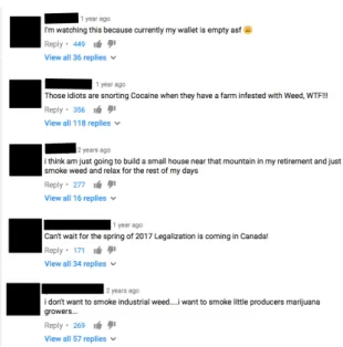 Figure 5: Top comments about Kings of Cannabis on YouTube (Access date: August  15, 2017)