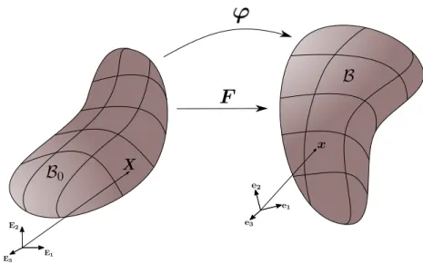 Figure 2.1: The map ϕ along with the deformation gradient F