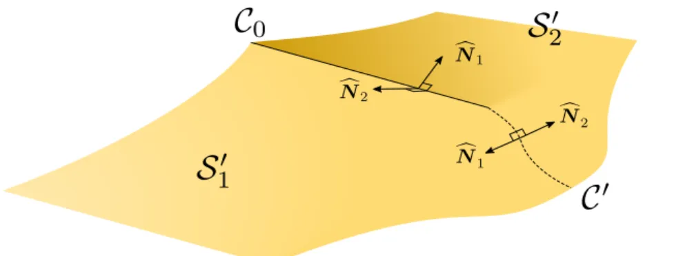 Figure 2.3: Decomposition of the surface. Note that N c 1 = − N c 2 on the curve C 0 .