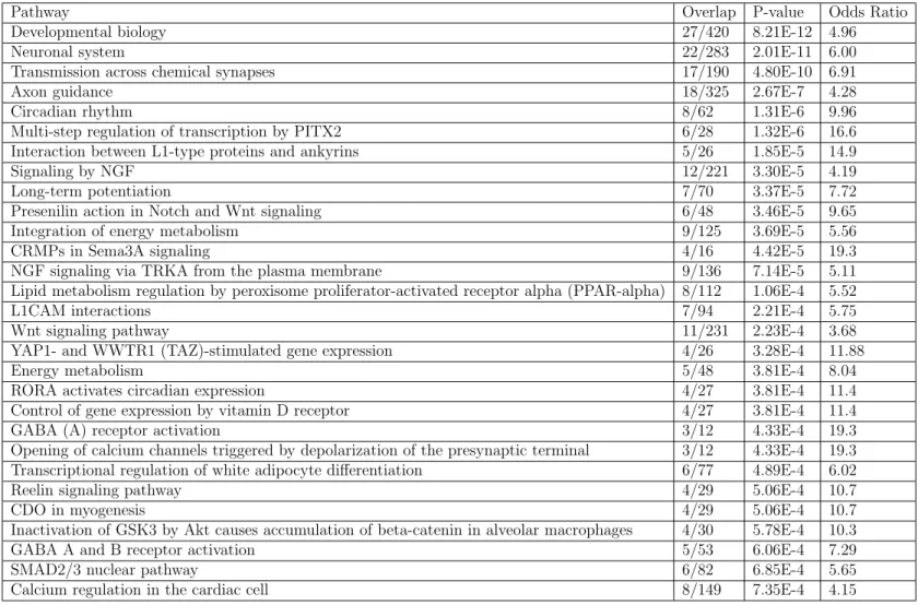 Table 5.2: DeepASD top 1% gene enrichment in BioPlanet 2019 dataset. Top 29 pathways are included out of 560 pathways.