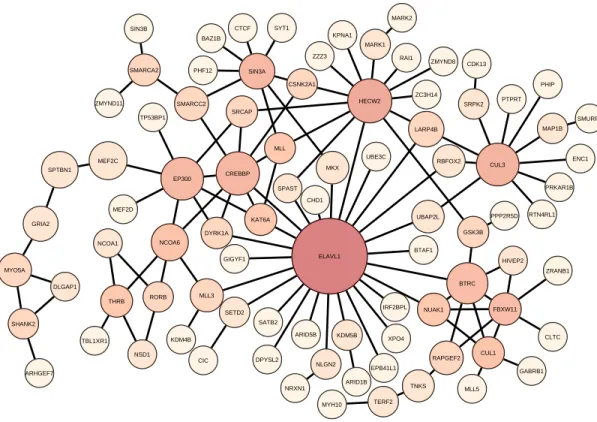 Figure 5.11: Tissue-specific frontal cortex PPI network from DifferentialNet database constructed by using NetworkAnalyst system