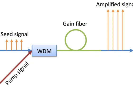Figure 1.2: Schematic of a fiber amplifier