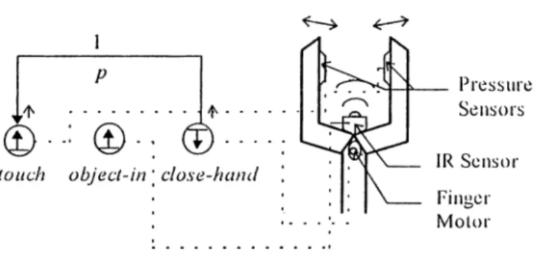 Figure 3.6.  Predictor p  is establislied between  touch  and close-hand