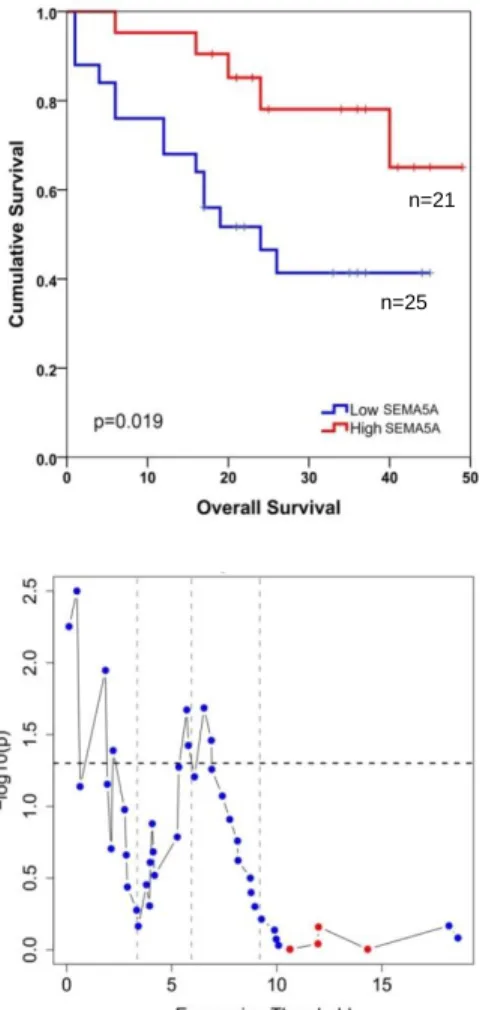 Figure 4.3: Survival graphs of colon cancer patients stratified based on either ULBP2 or  SEMA5A gene expression III (ex vivo analysis)