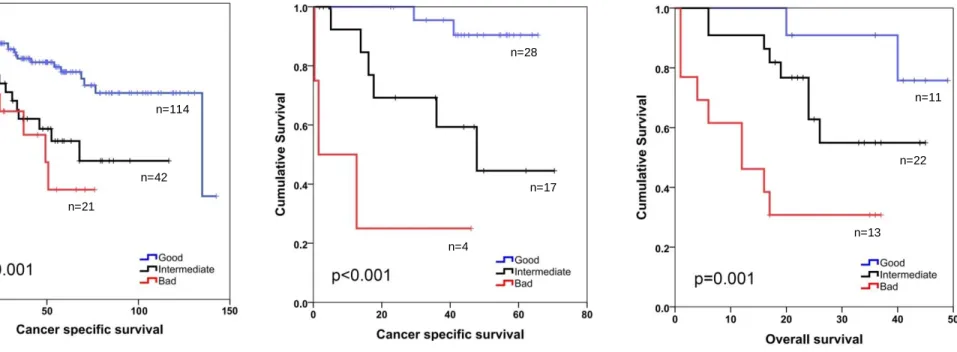 Figure  4.4: SU-GIB gene signature for colon cancer prognostication.  Kaplan-Meier graphs based on the SU-GIB  signature for GSE17536  (A),  GSE17537  (B)  and  the Ankara  cohort  (C),  and  their  respective  log-rank  p  values  are  shown