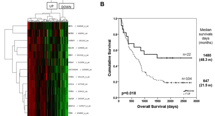Figure  4.19:  Hierarchical  clustering  and  kaplan  meier  analysis  of  gastric  cancer  tumors  with  prognostic  genes  in  validation  cohort