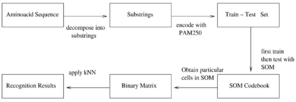 Fig. 1. Flow diagram of P2SL.