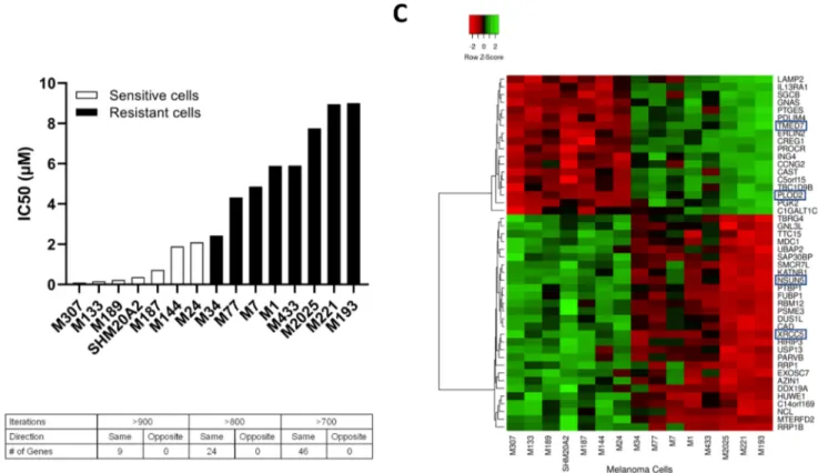 Figure 2. Comparative analysis of diﬀerentially enriched molecular gene sets among sensitive and resistant cells by GSEA