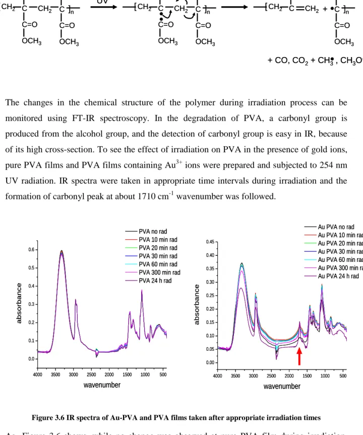 Figure 3.6 IR spectra of Au-PVA and PVA films taken after appropriate irradiation times 