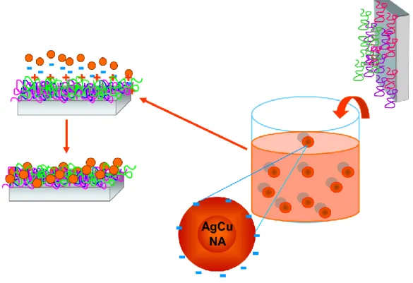 Figure  7.  Schematic  representation  of  metal-nanoalloy/polyelectrolyte  ultra  thin  film  construction  with  adsorption  of  negatively  capped  AgCu  NAs  on    PEI/PSS/PAH  polyelectrolyte layers via LbL assembly