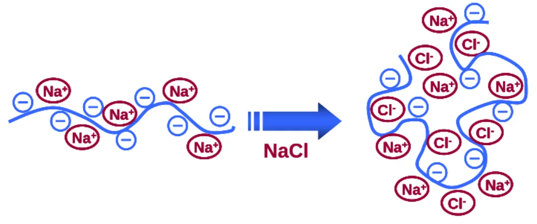 Figure 1. Illustration of the effect of the ionic strength on polyelectrolyte shape. 10
