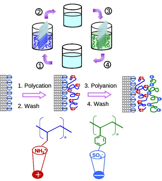 Figure 2.  (A) Schematic representation of polyelectrolyte adsorption on a substrate. 