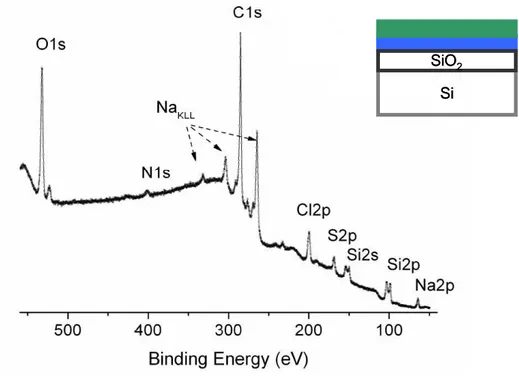 Figure 6. Survey spectrum of a bilayered Si/SiO 2  system. 