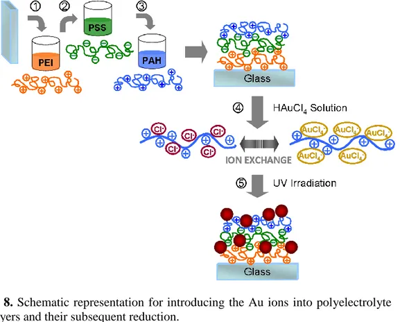 Figure  8. Schematic representation  for introducing  the Au  ions  into polyelectrolyte  multilayers and their subsequent reduction