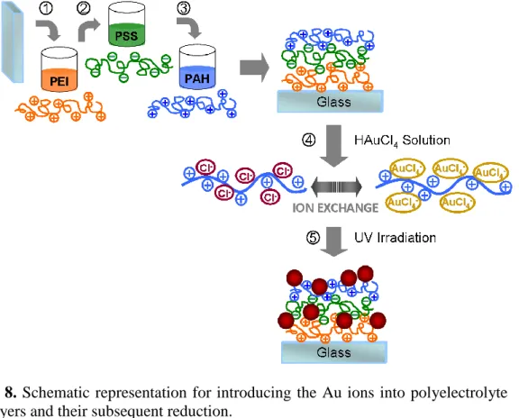 Figure  8. Schematic representation  for introducing  the Au  ions  into polyelectrolyte  multilayers and their subsequent reduction