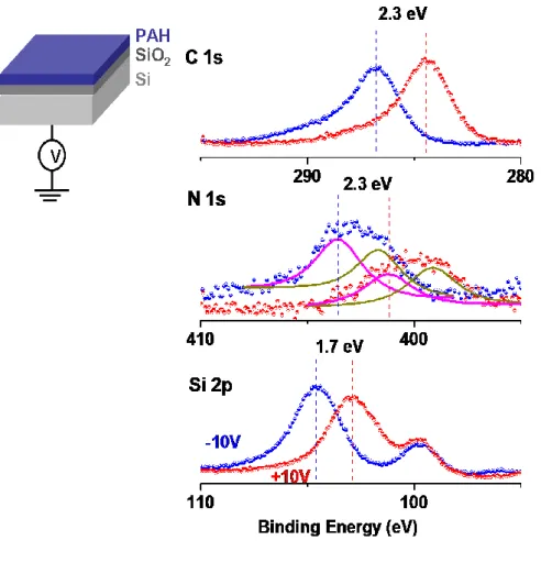 Figure  10.  XP  spectrum  of  a  single  polyelectrolyte  (PAH)  on  Si/SiO 2   substrate  recorded under -10 V and +10 V external bias