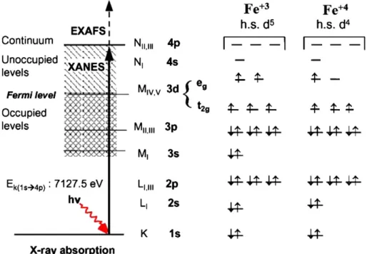 Fig. 5. Molecular orbital scheme of Fe + 3 and Fe + 4 with possible XAS transitions.