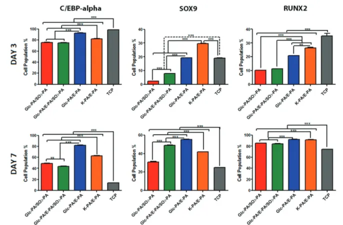 Fig. 9 Day 3 and day 7 protein expression analyses of rat MSCs cultured on diﬀerent PA nanofiber networks and uncoated TCP