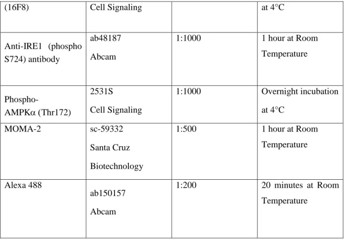 Table  3.1:    The  list  of  antibodies  that  were  used  during  this  research  with  their  catalog  no,  working dilution and incubation conditions 