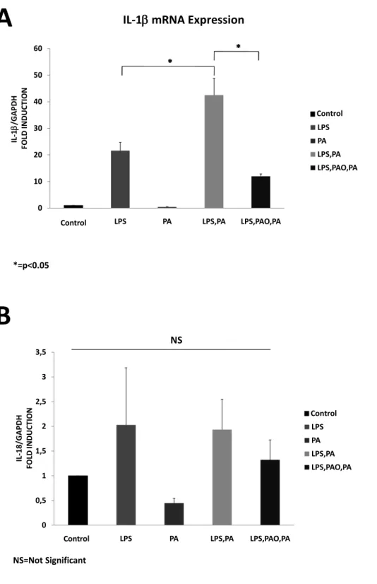 Figure  4.3:The  effect  of  palmitoleate  on  palmitate-induced  mRNA  expression  of  IL-1β  and IL-18 in primarybone marrow derived mouse macrophages