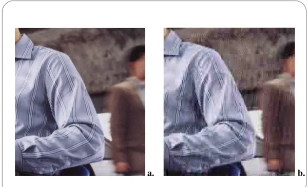 Figure 14: Close-up of an image  a. 300 DPI (Normal quality print)  b. 72 DPI (Standard PC monitor) 