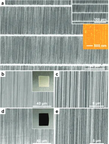 Figure 3. SEMs of complex patterns of dense, random networks of SWNTs (bright regions) interconnected by aligned arrays of SWNTs, as grown on quartz (a,b) and transferred to SiO 2 (100 nm)/