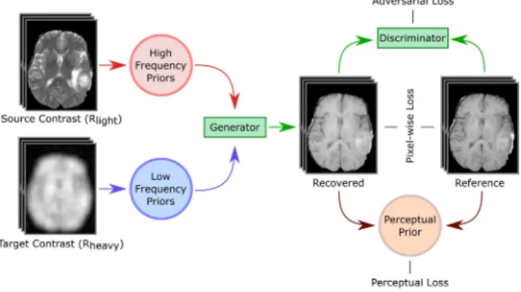Fig. 1. Proposed rsGAN method synergistically recovers undersampled multi- multi-contrast MRI acquisitions by complementarily using three priors: shared  high-frequency priors available in fully-sampled or lightly undersampled acquisitions of one or more s