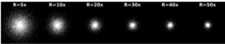 Fig. 2. Examples of undersampling patterns for acquisitions accelerated in a broad range (R = 5×, 10×, 20×, 30×, 40× , 50× ).