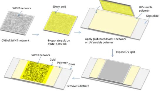 Fig. 2 shows the scanning electron micrographs of SWNT networks with various tube densities on SiO 2  sub-strates