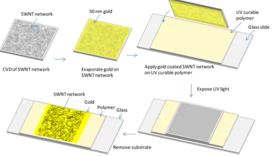 Fig. 2 shows the scanning electron micrographs of SWNT networks with various tube densities on SiO 2  sub-strates