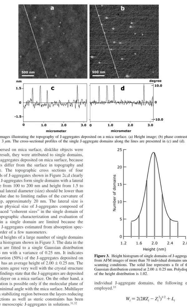 Figure 4 shows the size (the lateral diameter) histogram of the disk-shaped J-aggregates