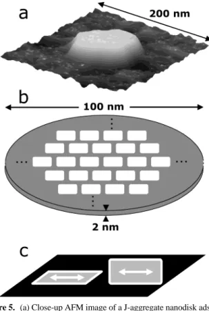 Figure 5. (a) Close-up AFM image of a J-aggregate nanodisk adsorbed on a mica surface