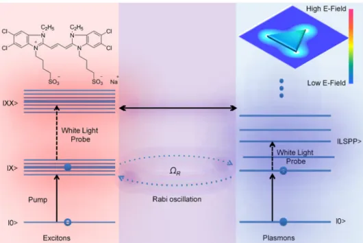 FIG. 6. Schematic representation of the energy diagram and optical  transi-tions in the hybrid nanostructure