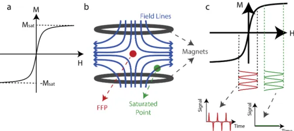 Figure 2.1: (a) Characterization of the magnetization, M, of SPIOs as a function of the aplied field, H, which is governed by a Langevin function