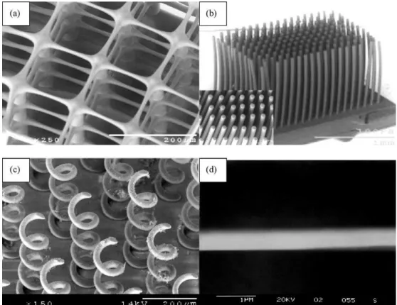 Figure 2.4: 3D microstructures fabricated by PµSL process: (a) micro matrix with suspended beam diameter of 5µm; (b) high aspect-ratio micro rod array consists of 21 × 11 rods with the overall size of 2mm × 1mm