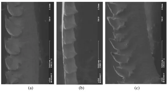 Figure 12  SEM images of chip shapes produced by (a) uniform chamfered, (b) uniform honed   and (c) variable hone inserts 