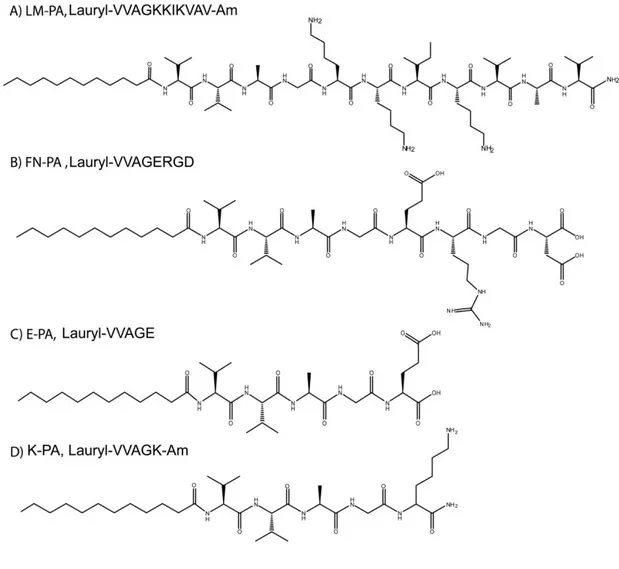 Figure 2.1 Chemical structures of peptide amphiphile molecules, A) LM-PA, B) FN- FN-PA, C) E-PA and D) K-PA 