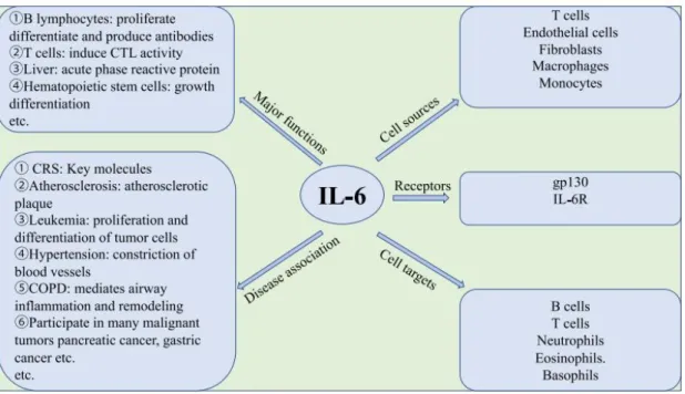 Fig. 1. Role of interleukin-6 (IL-6) in inflammatory process, including COVID-19. CTL, cytotoxic  T lymphocyte; CRS, cytokine release syndrome; COPD, chronic obstructive pulmonary  disease; GP130, glycoprotein 130; IL-6R, interleukin-6 receptor (Adapted fr