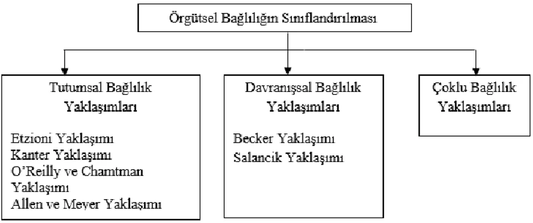 Şekil 2.5:  Örgütsel bağlılığın sınıflandırılması [25]. 